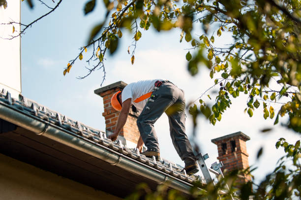 Best Roof Restoration Services  in Fall River, WI