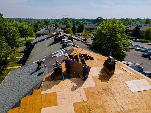 Best Flat Roof Repair Services  in Fall River, WI