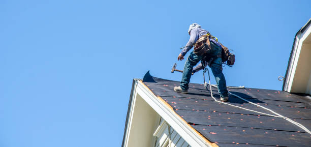 Best Roof Leak Repair  in Fall River, WI